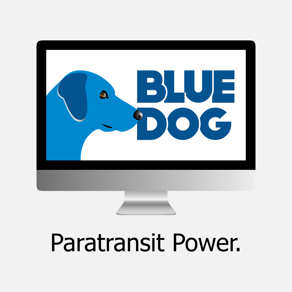 Blue Dog web app