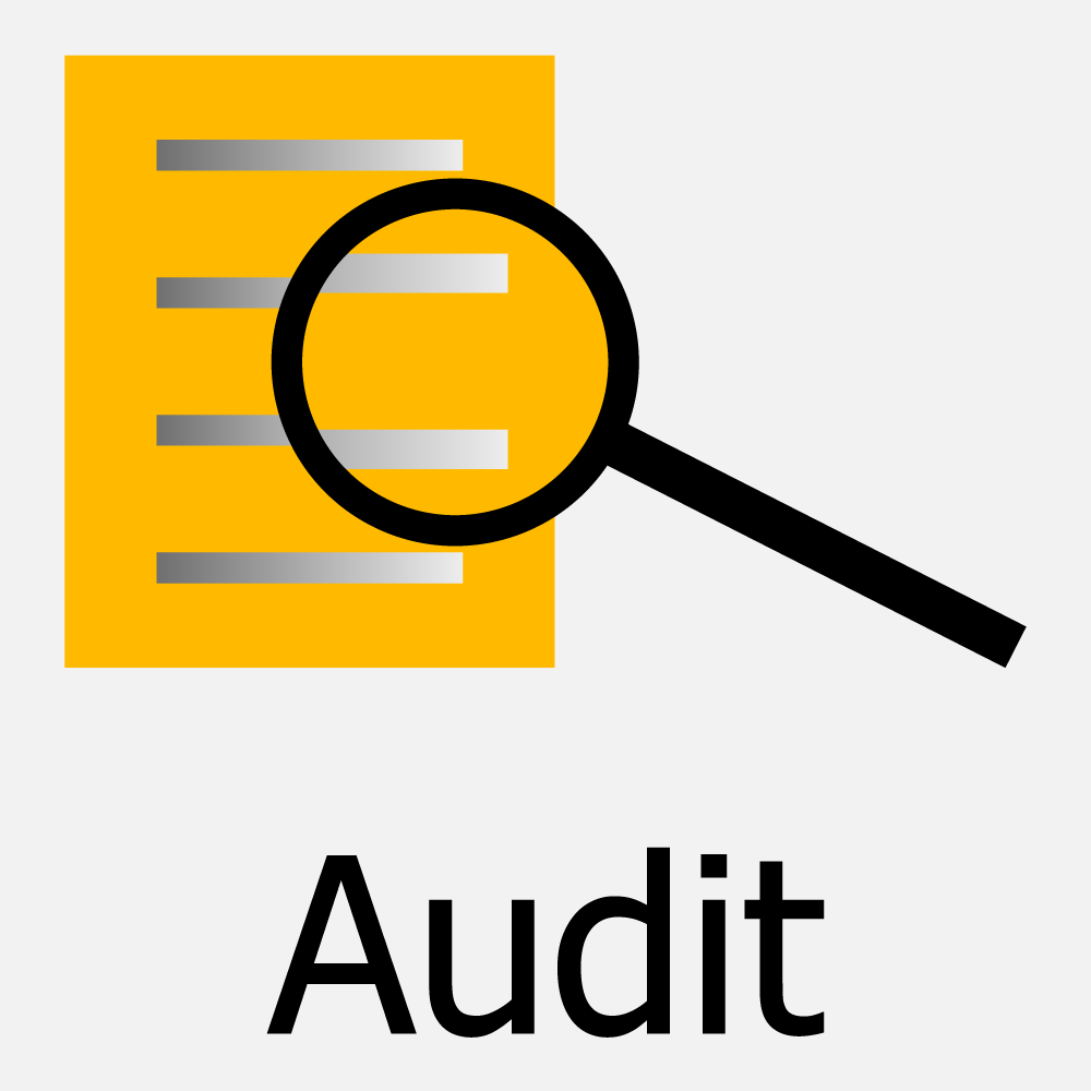 Audit