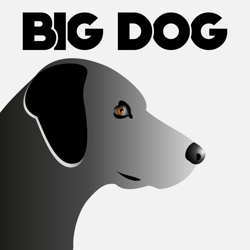 Big Dog